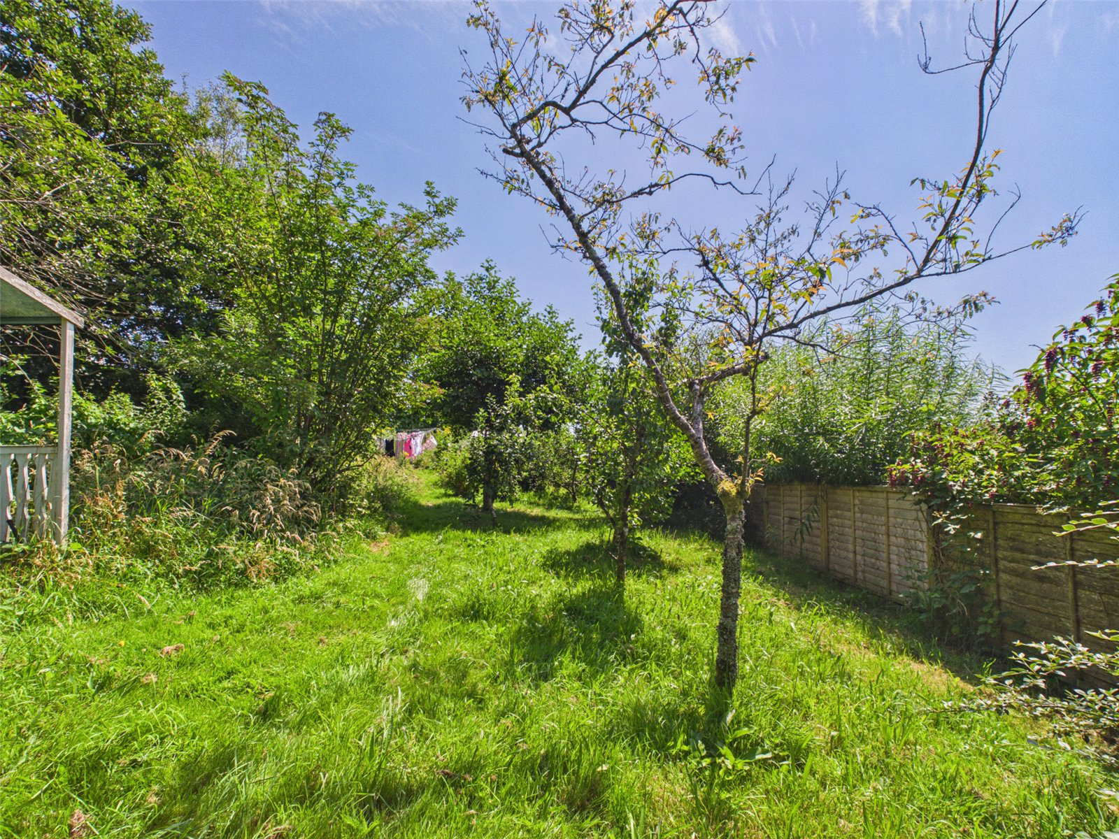 Venn Hill, Milton Abbot, Tavistock, Devon, PL19, photo 13
