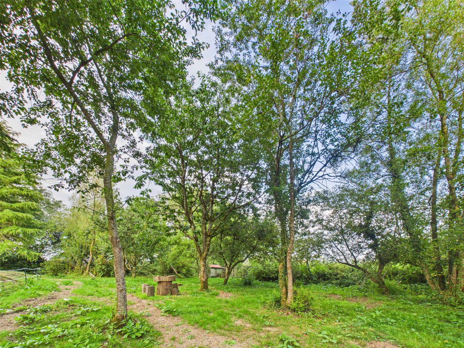 Higher Killatree Farm, Killatree, Holsworthy, Devon, EX22, photo 45