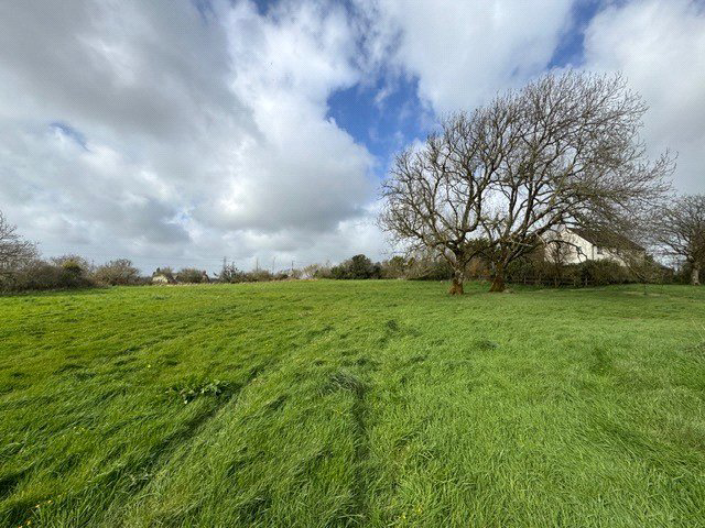 Pyworthy, Holsworthy, EX22, photo 36