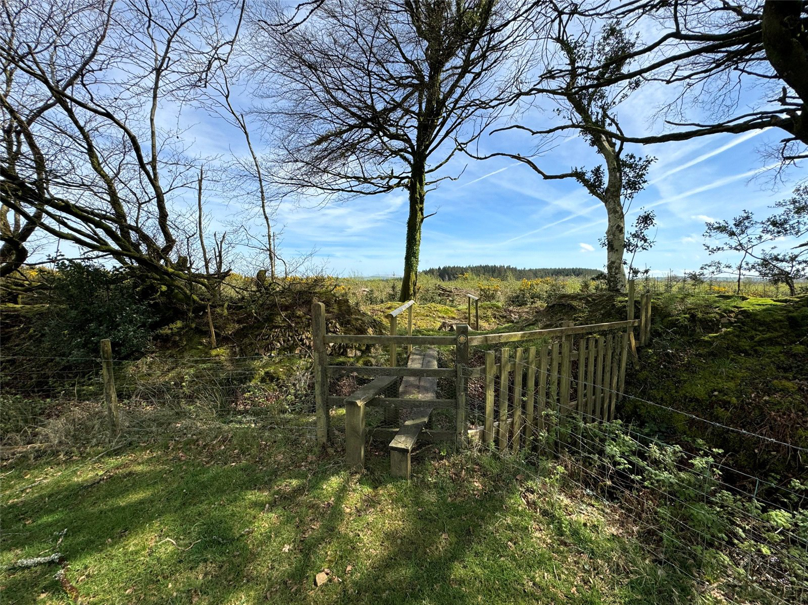 Ashwater, Beaworthy, Devon, EX21, photo 24