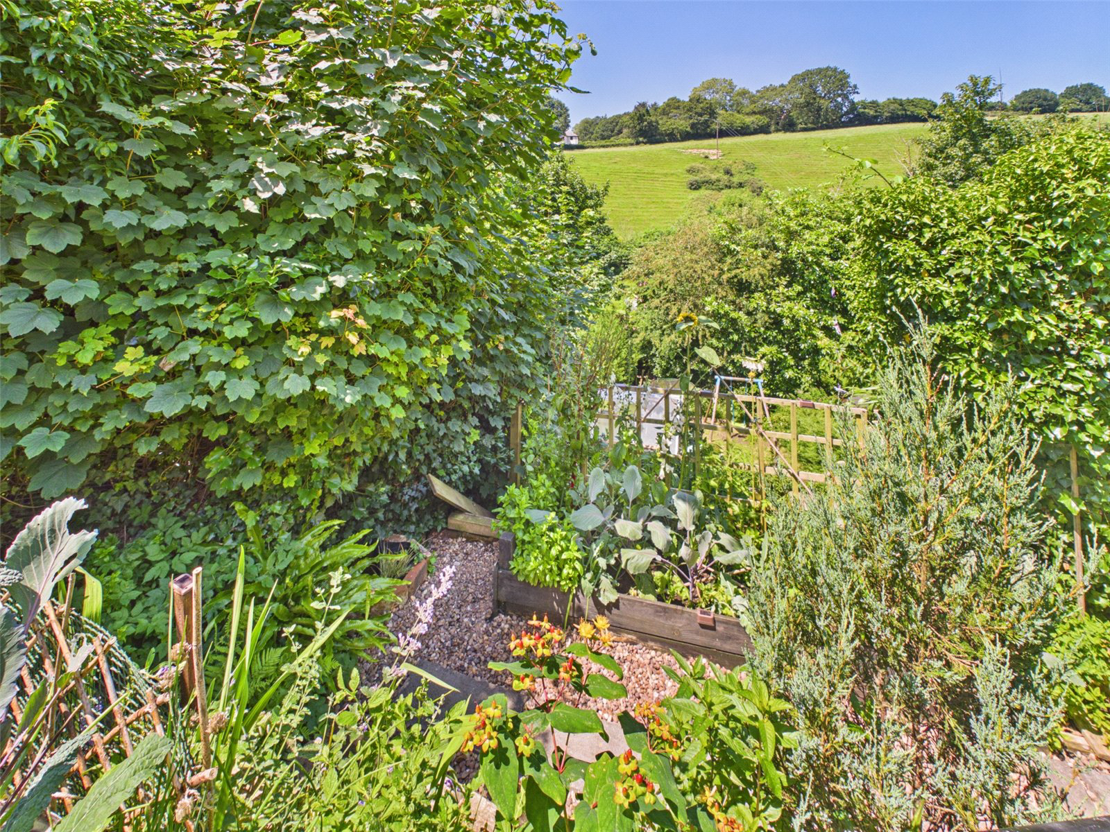 Western Terrace, Launceston, Cornwall, PL15, photo 11