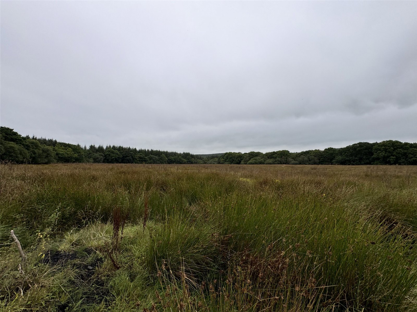 Brandis Corner, Holsworthy, Devon, EX22, photo 4