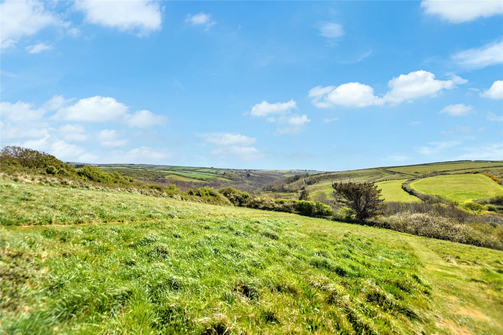 Southole, Welcombe, Devon, EX39, photo 20