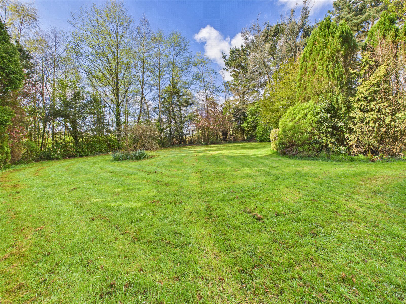 Clubworthy, Launceston, Cornwall, PL15, photo 24
