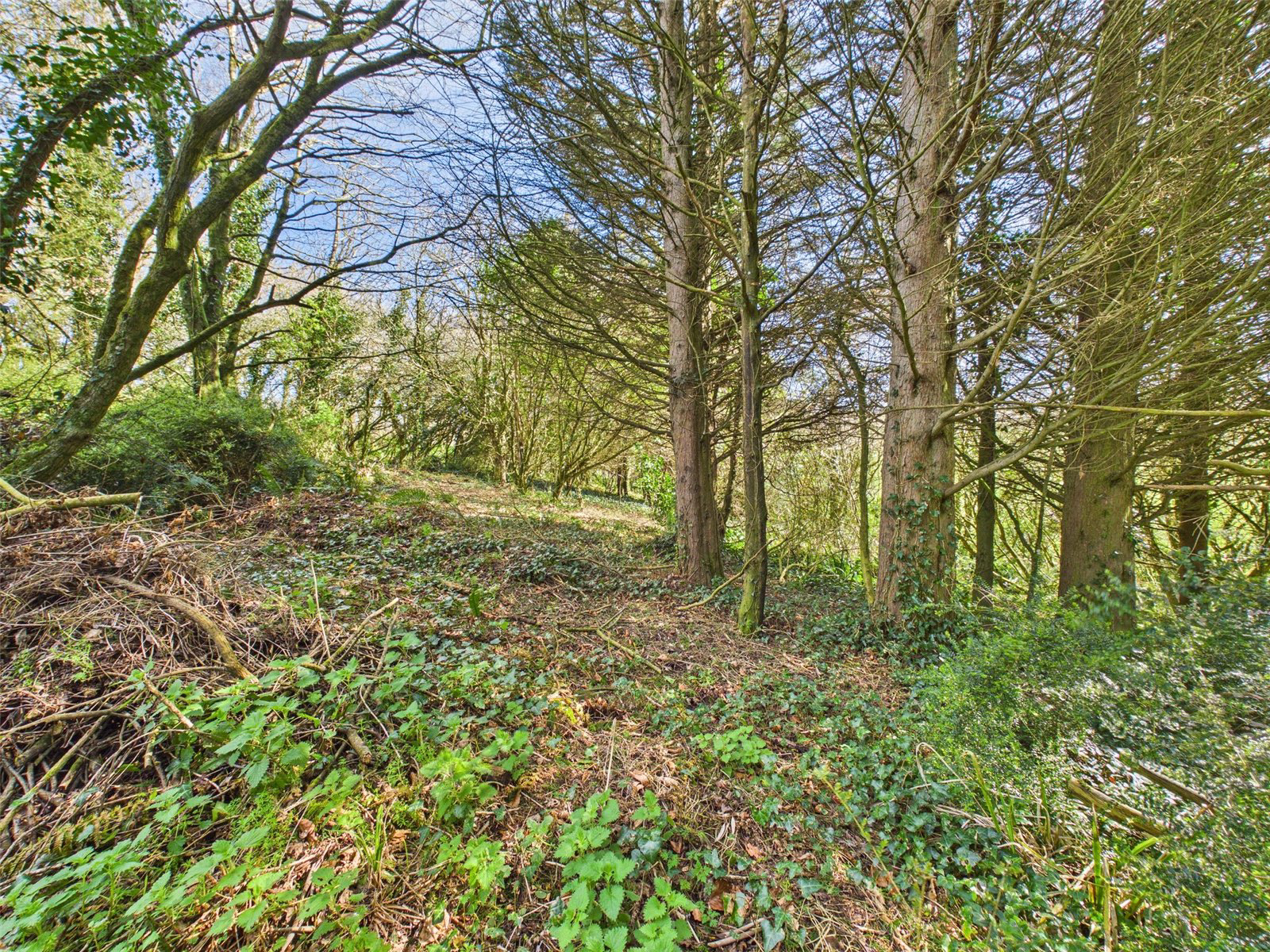 Launcells, Bude, Cornwall, EX23, photo 20