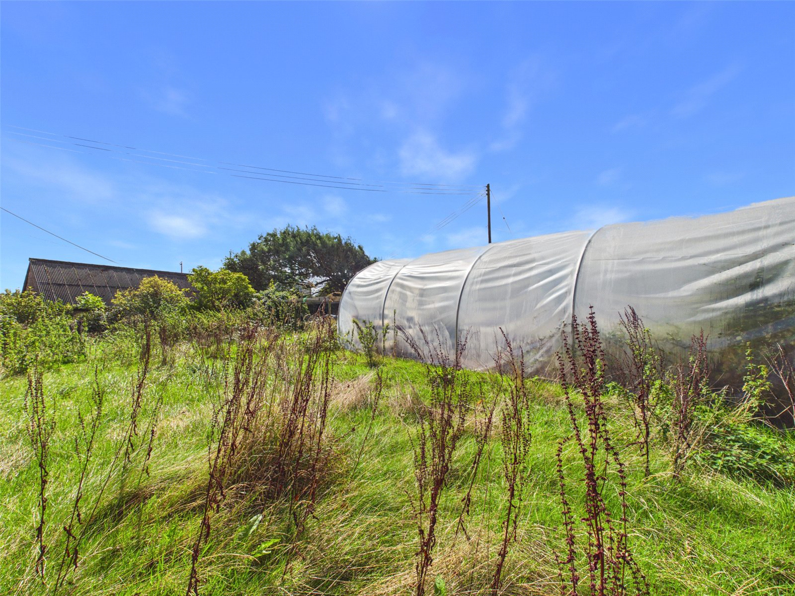 Western Side, Clawton, Holsworthy, Devon, EX22, photo 19