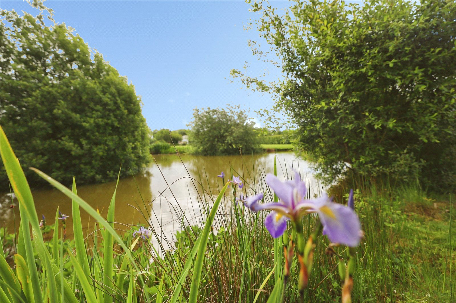 Powlers Piece Park, Putford, Holsworthy, Devon, EX22, photo 4