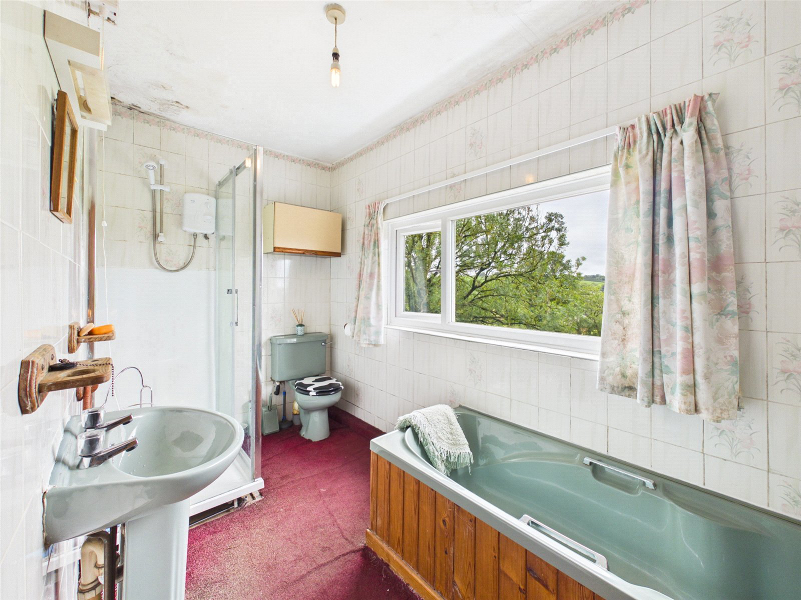 Newton St. Petrock, Holsworthy, Devon, EX22, photo 16