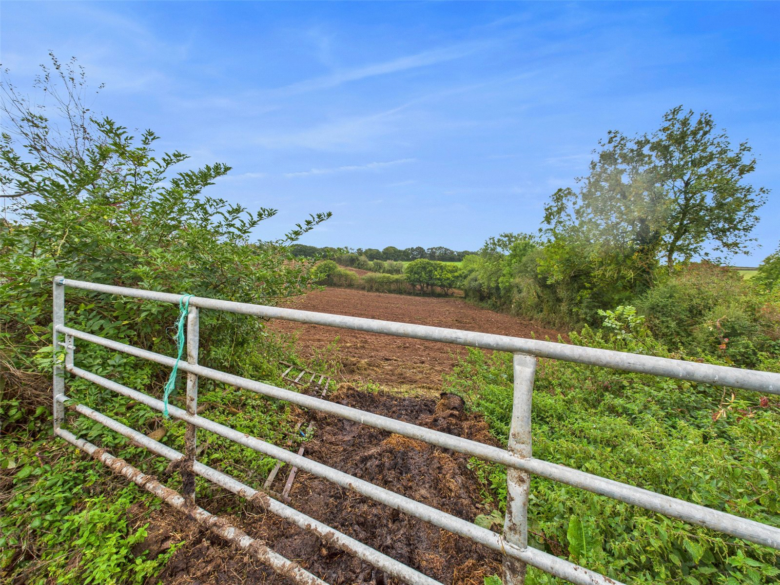 North Tawton, Devon, EX20, photo 5