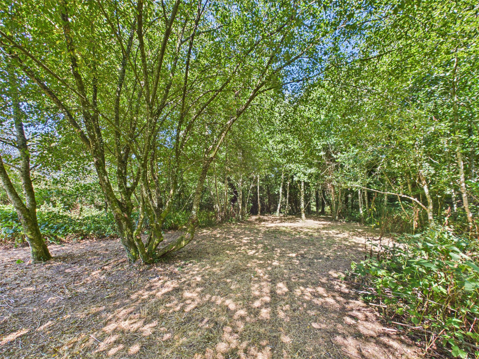 Lewdown, Okehampton, Devon, EX20, photo 26
