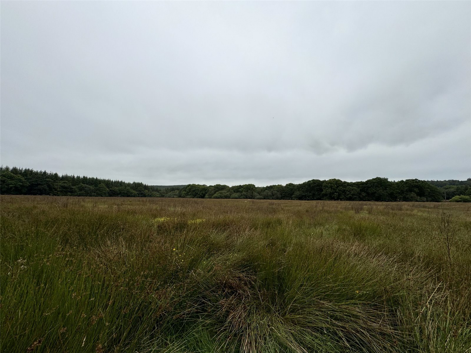 Brandis Corner, Holsworthy, Devon, EX22, photo 3