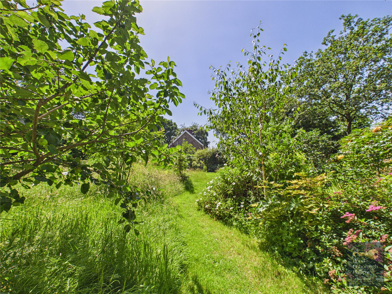 Peters Marland, Torrington, Devon, EX38, photo 38