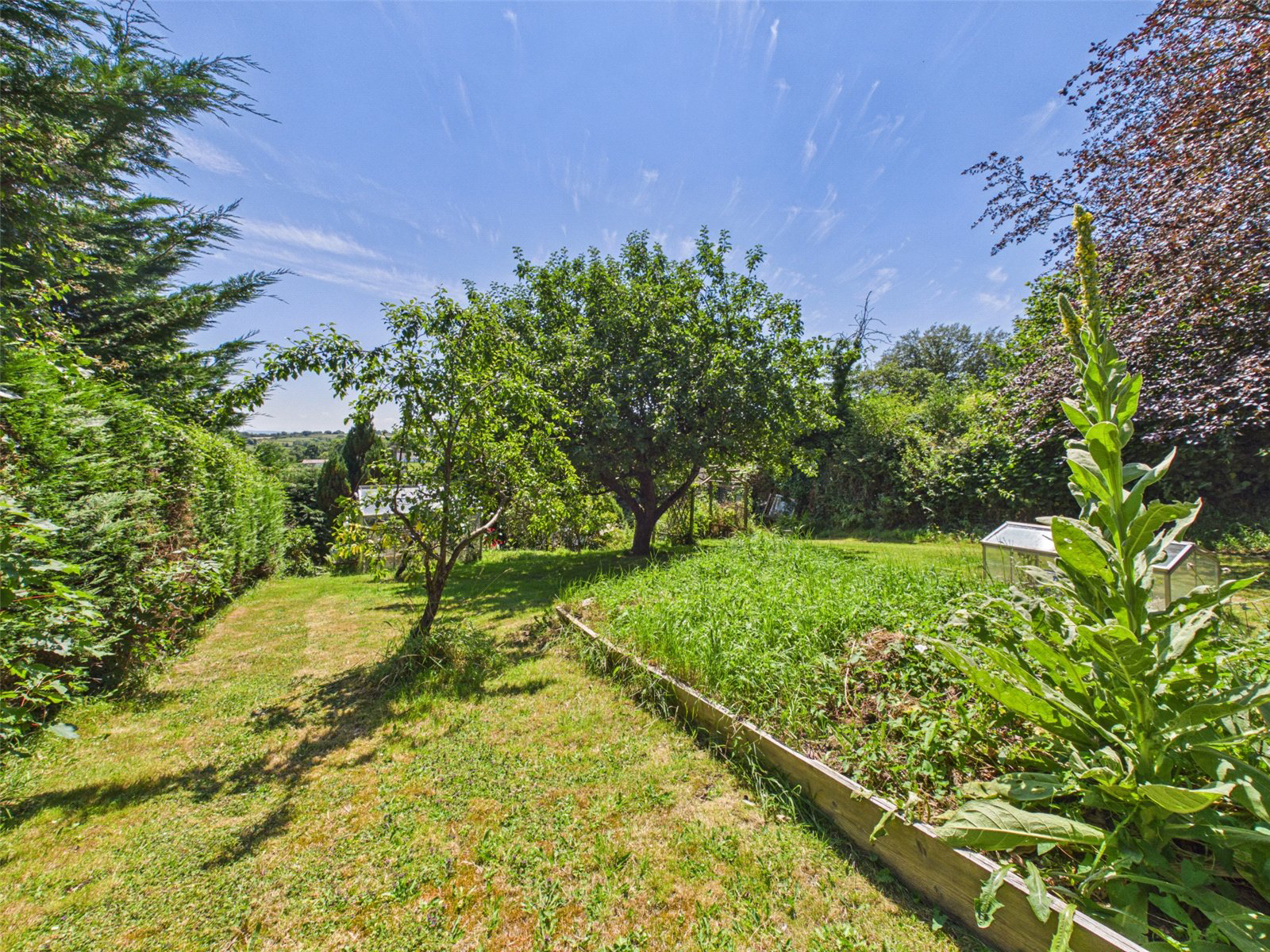 Black Torrington, Beaworthy, Devon, EX21, photo 18