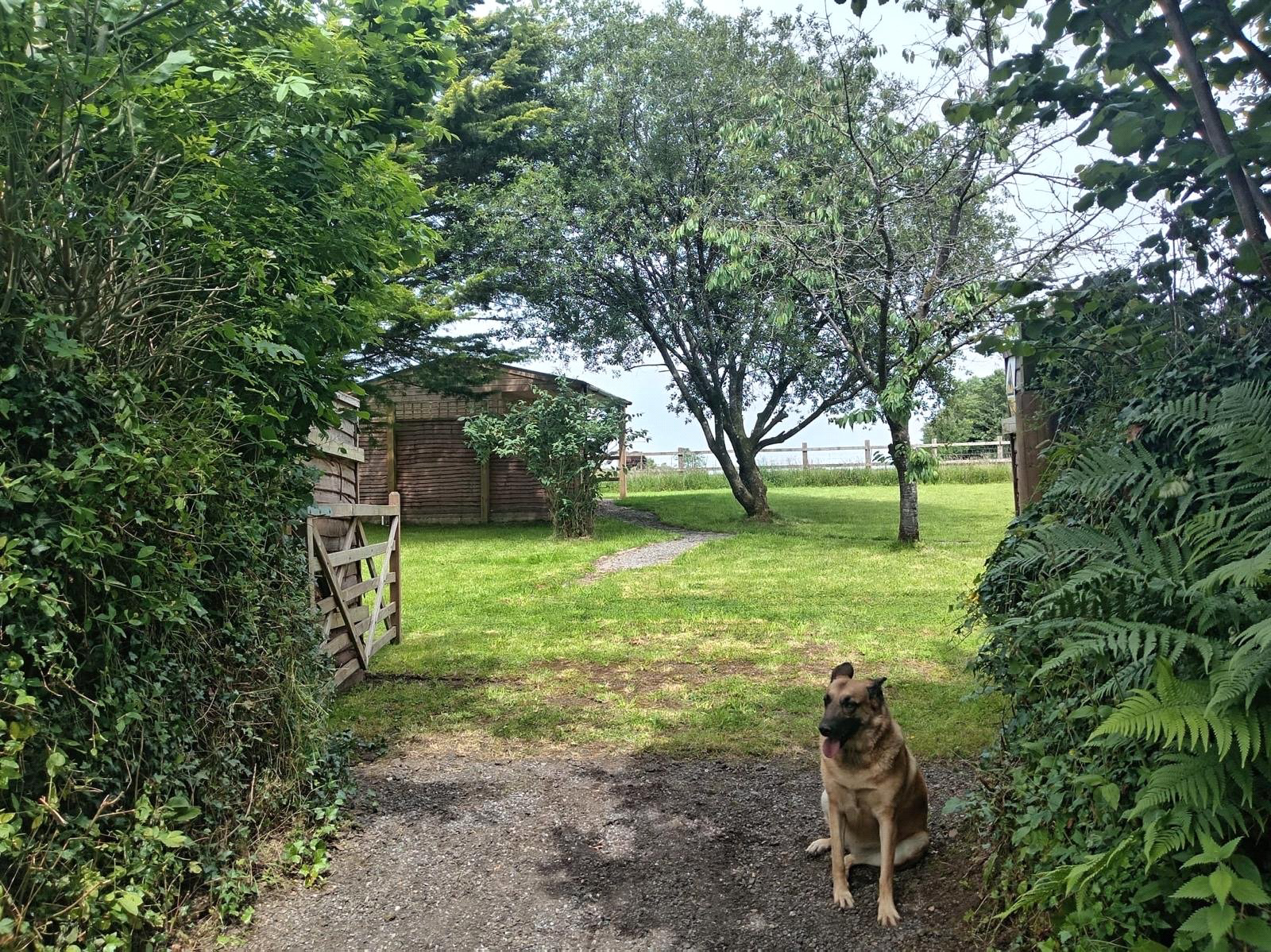 High Bolham, Oakford, Tiverton, Devon, EX16, photo 38
