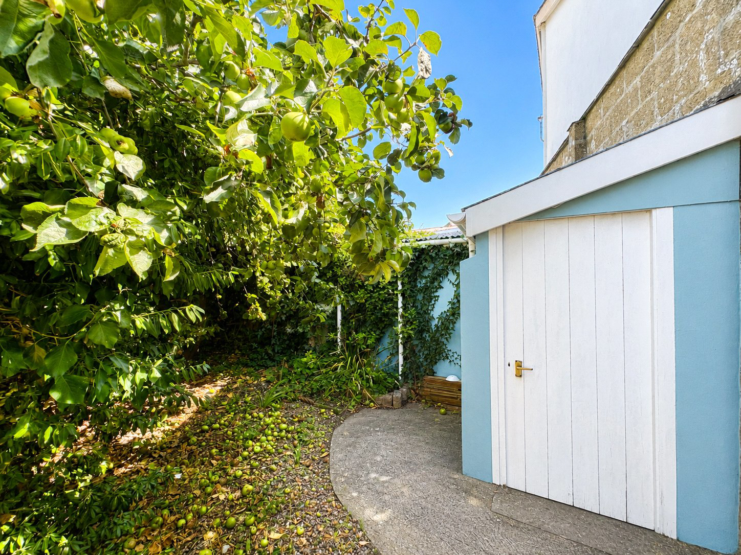 Chingswell Street, Bideford, Devon, EX39, photo 12