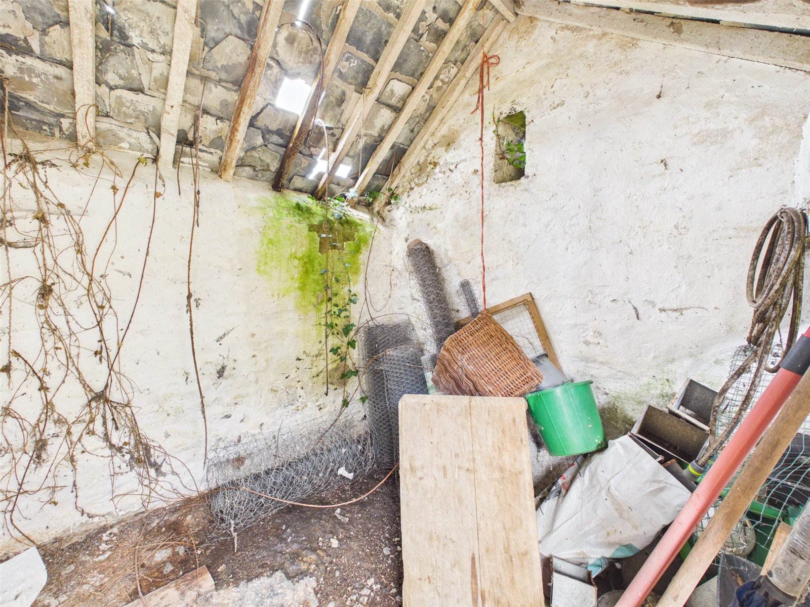 Western Side, Clawton, Holsworthy, Devon, EX22, photo 27