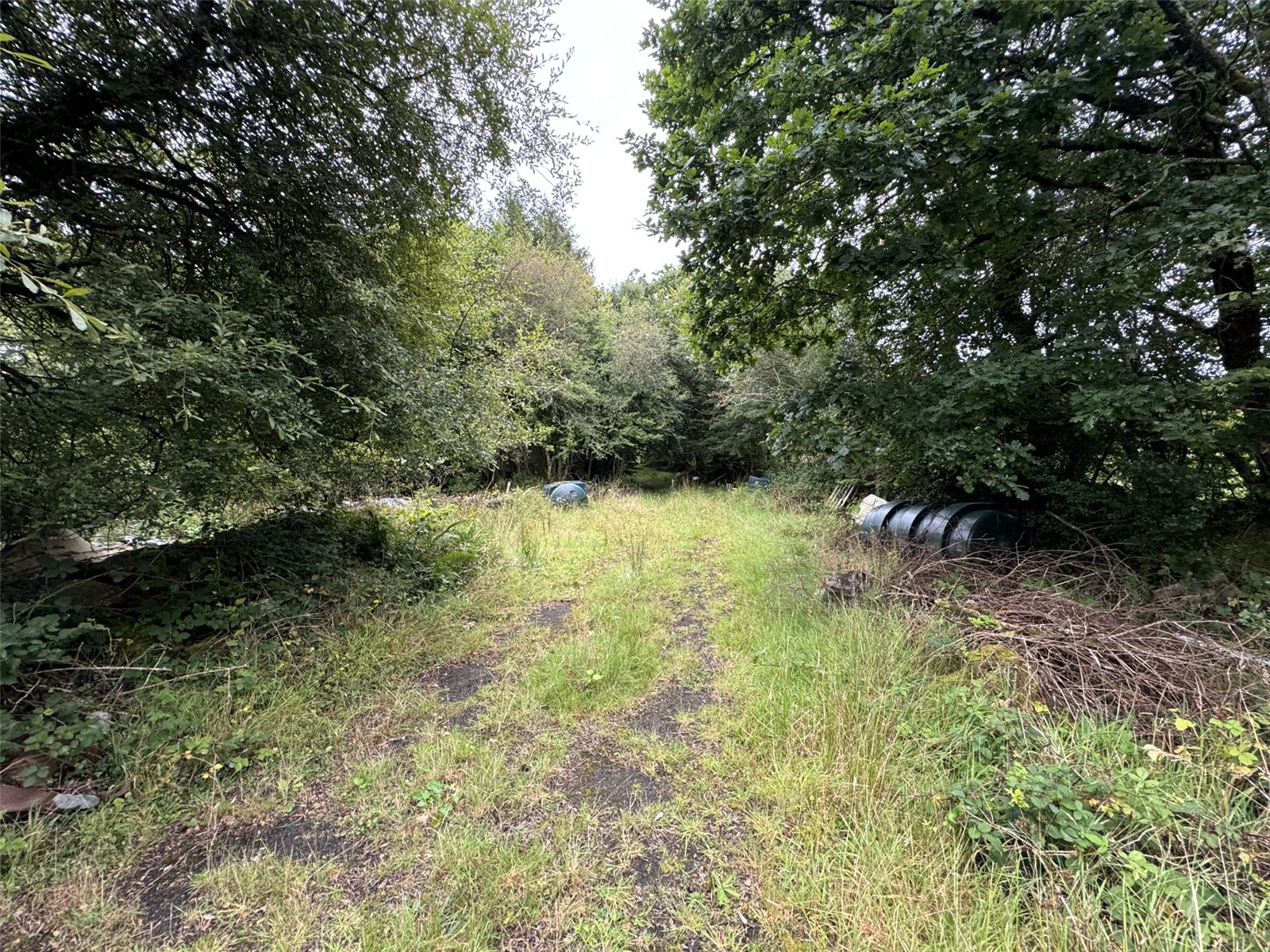 Brandis Corner, Holsworthy, Devon, EX22, photo 10