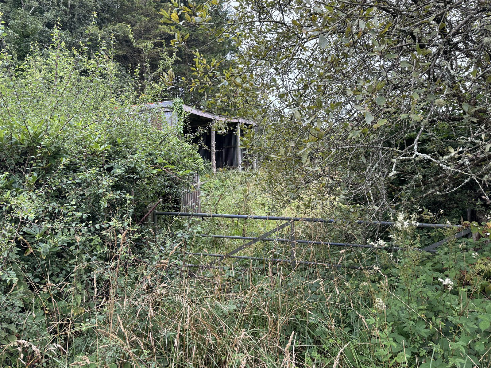 Brandis Corner, Holsworthy, Devon, EX22, photo 15