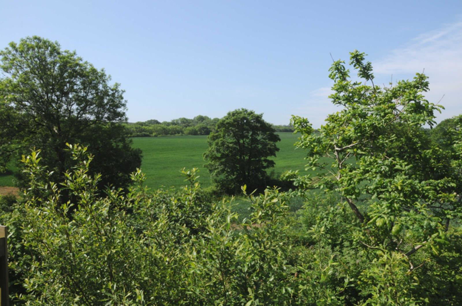 ,, Holsworthy, Devon, EX22, photo 21