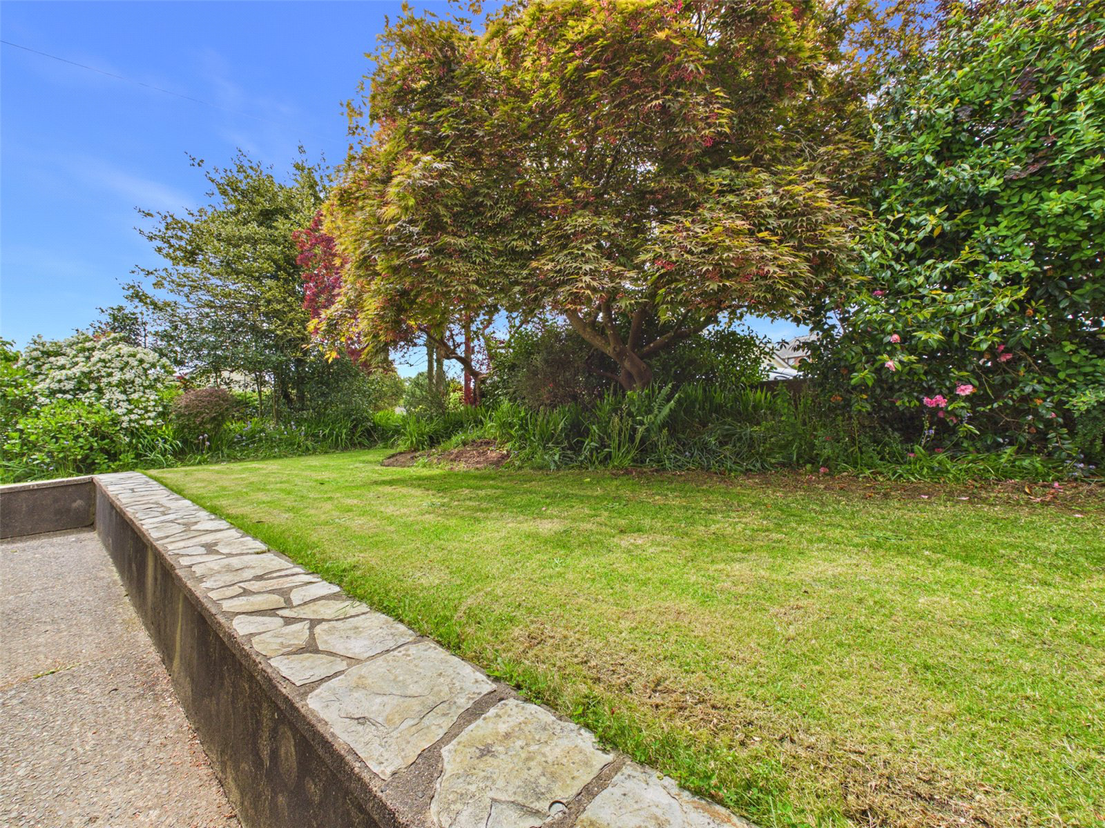 Kingswood Meadow, Holsworthy, Devon, EX22, photo 22