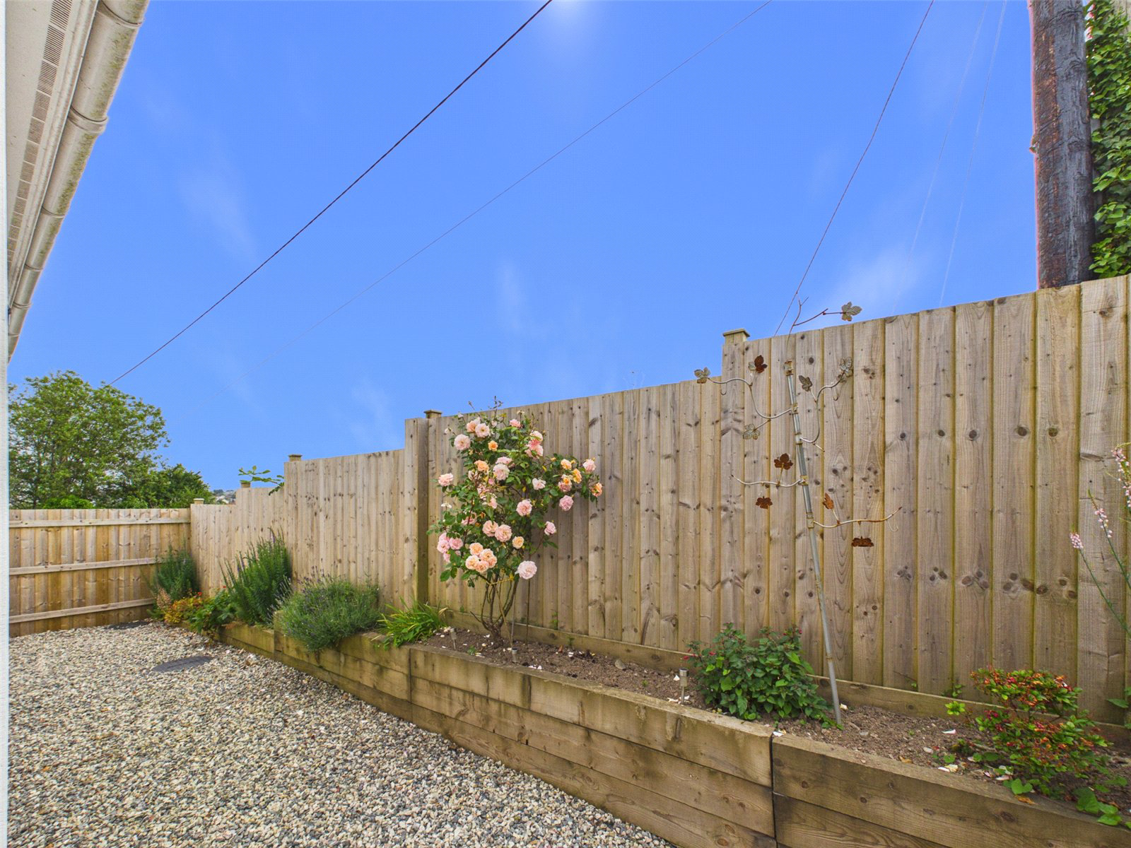 Wellington Place, Wadebridge, Cornwall, PL27, photo 18
