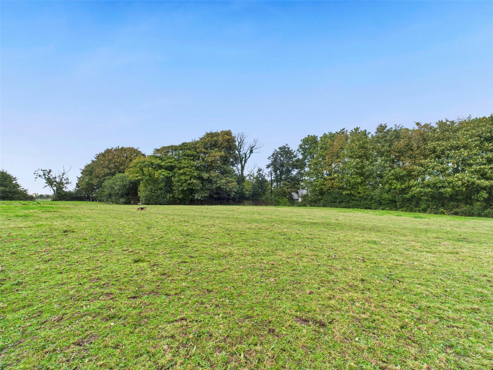 Higher Killatree Farm, Killatree, Holsworthy, Devon, EX22, photo 49