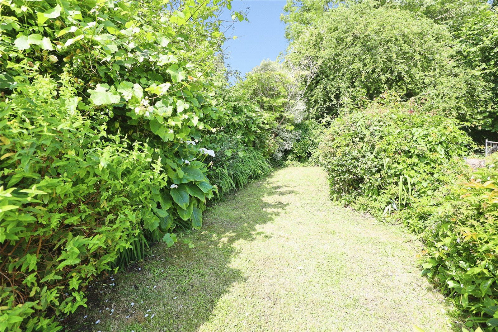 Pitt Hill, Appledore, Bideford, Devon, EX39, photo 3