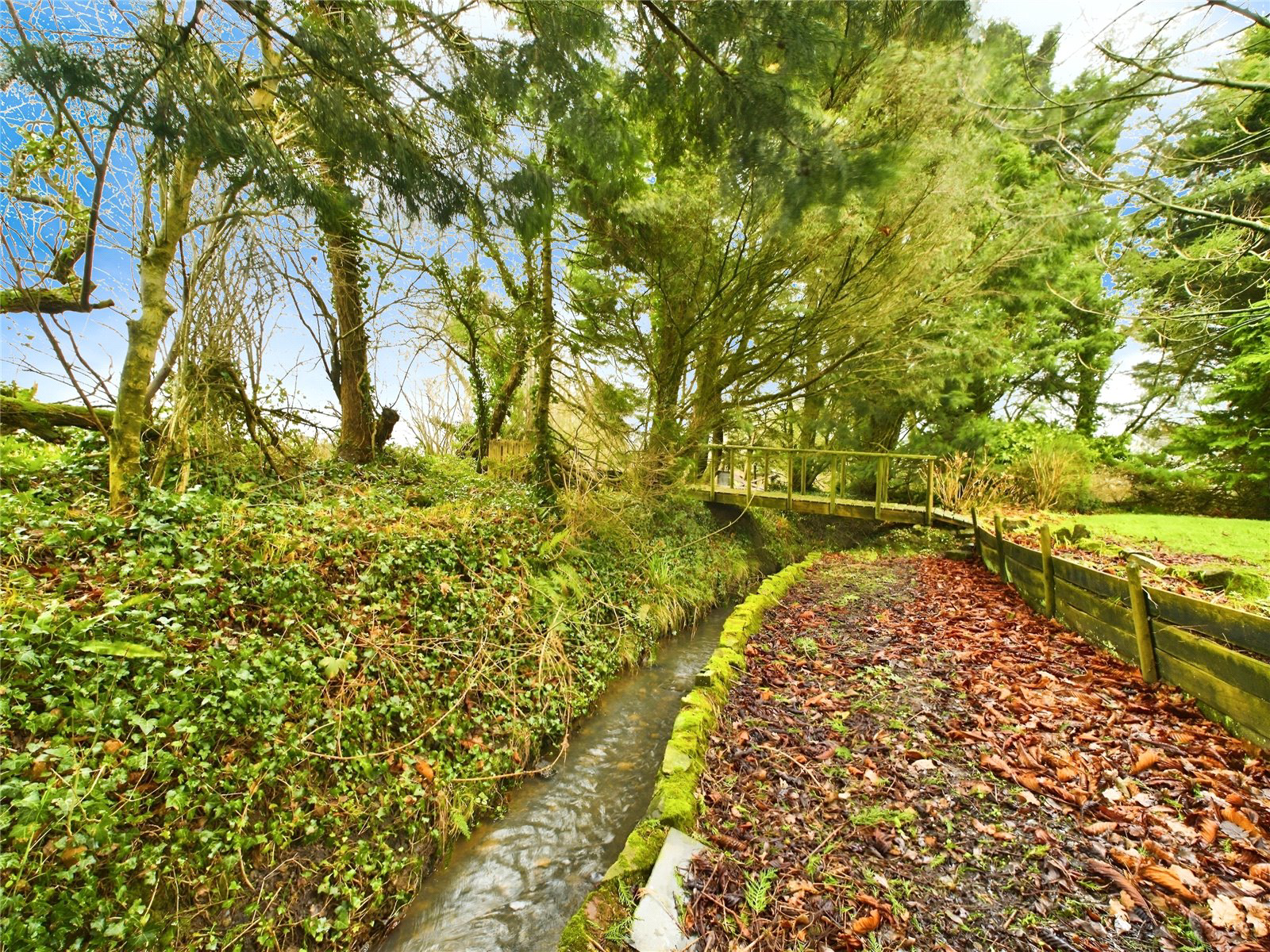 Blagdon, Holsworthy, Devon, EX22, photo 27