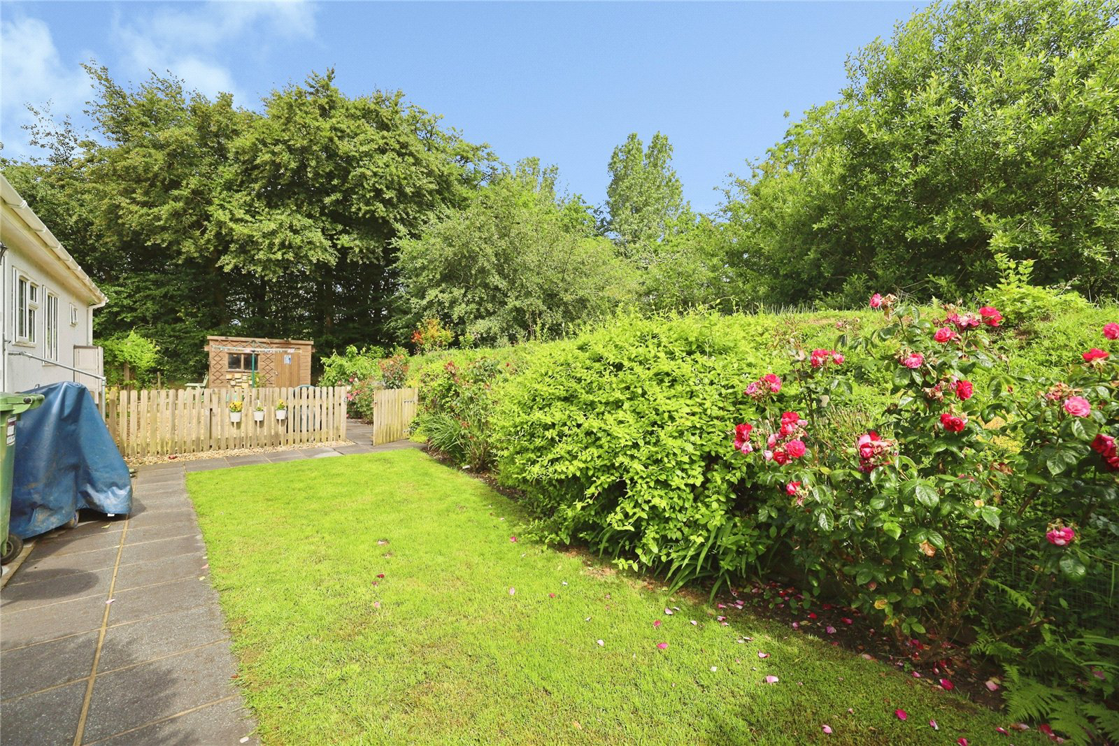 Powlers Piece Park, Putford, Holsworthy, Devon, EX22, photo 20