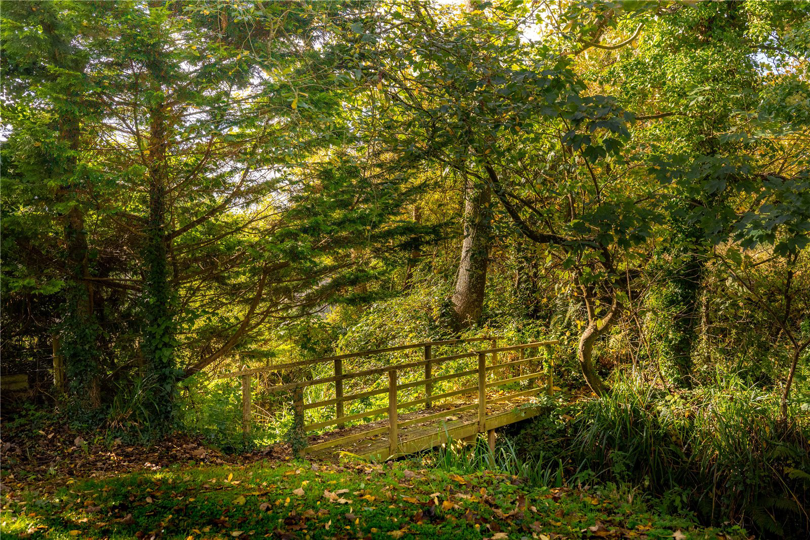 Lenwood Road, Northam, Bideford, Devon, EX39, photo 33