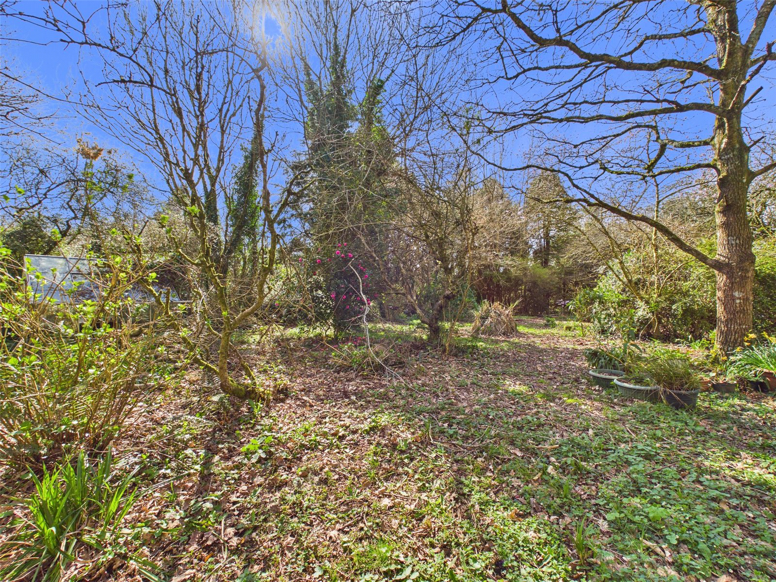 Launcells, Bude, Cornwall, EX23, photo 23