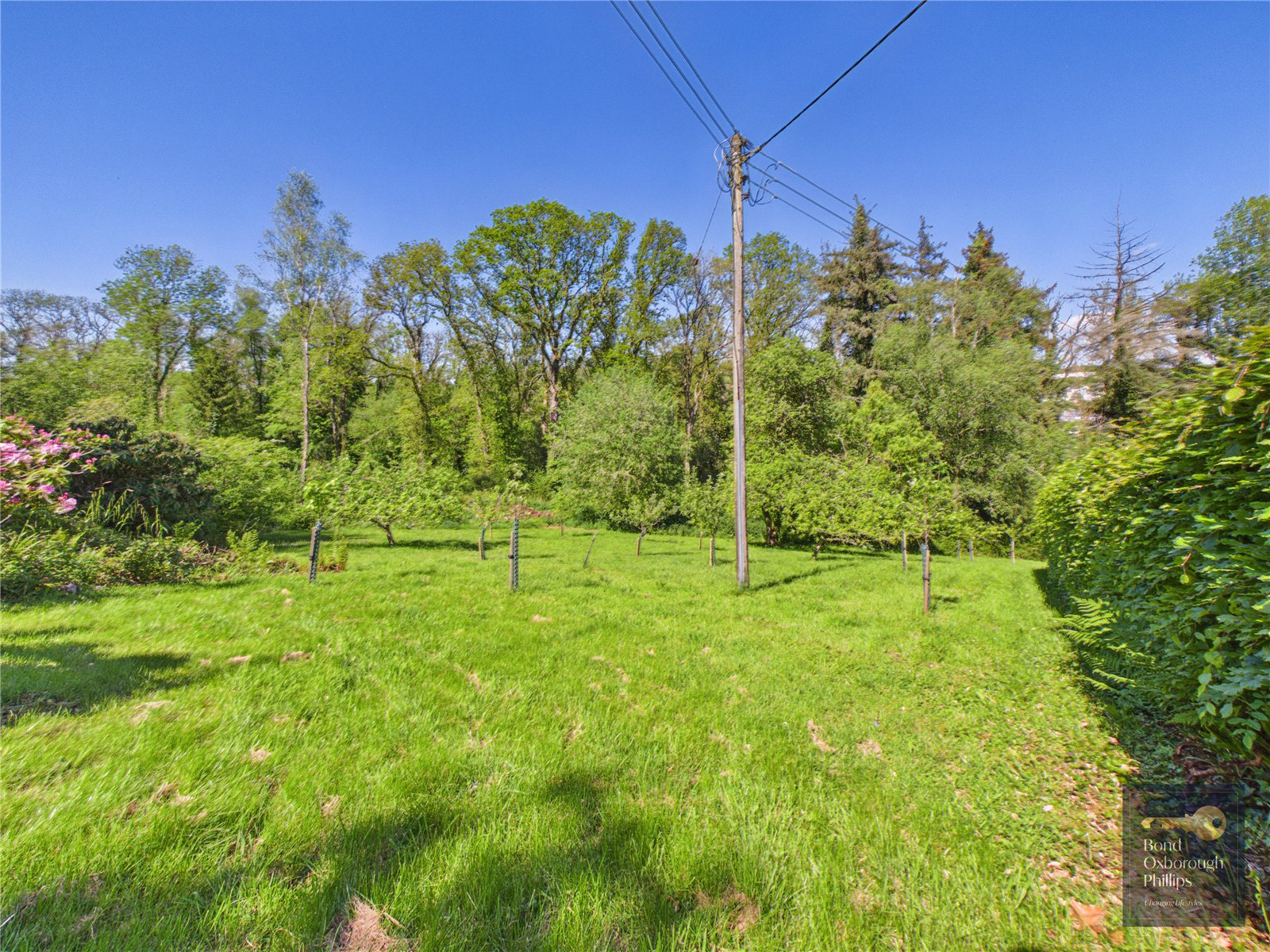 Torrington, Devon, EX38, photo 68