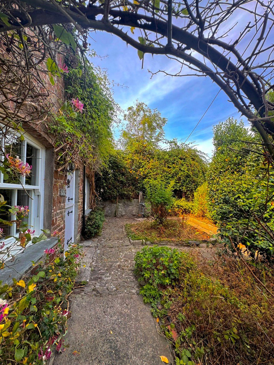Sutcombe, Holsworthy, Devon, EX22, photo 19