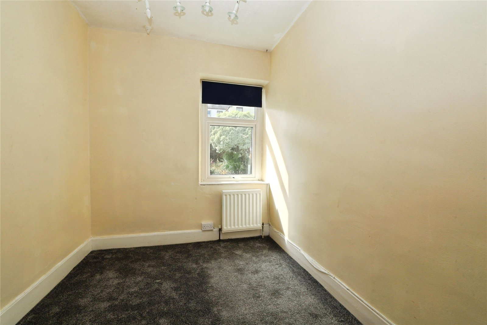 Elm Grove, Bideford, Devon, EX39, photo 6