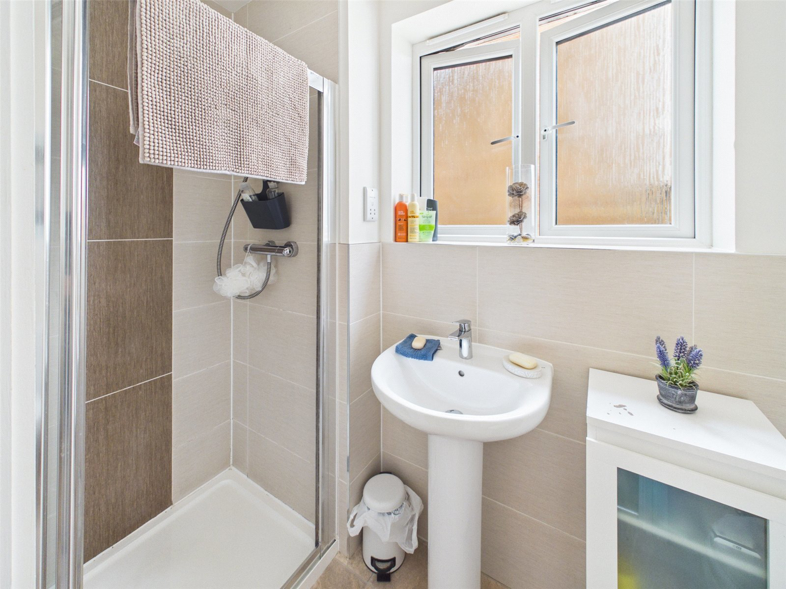 Broom Park, Okehampton, Devon, EX20, photo 11