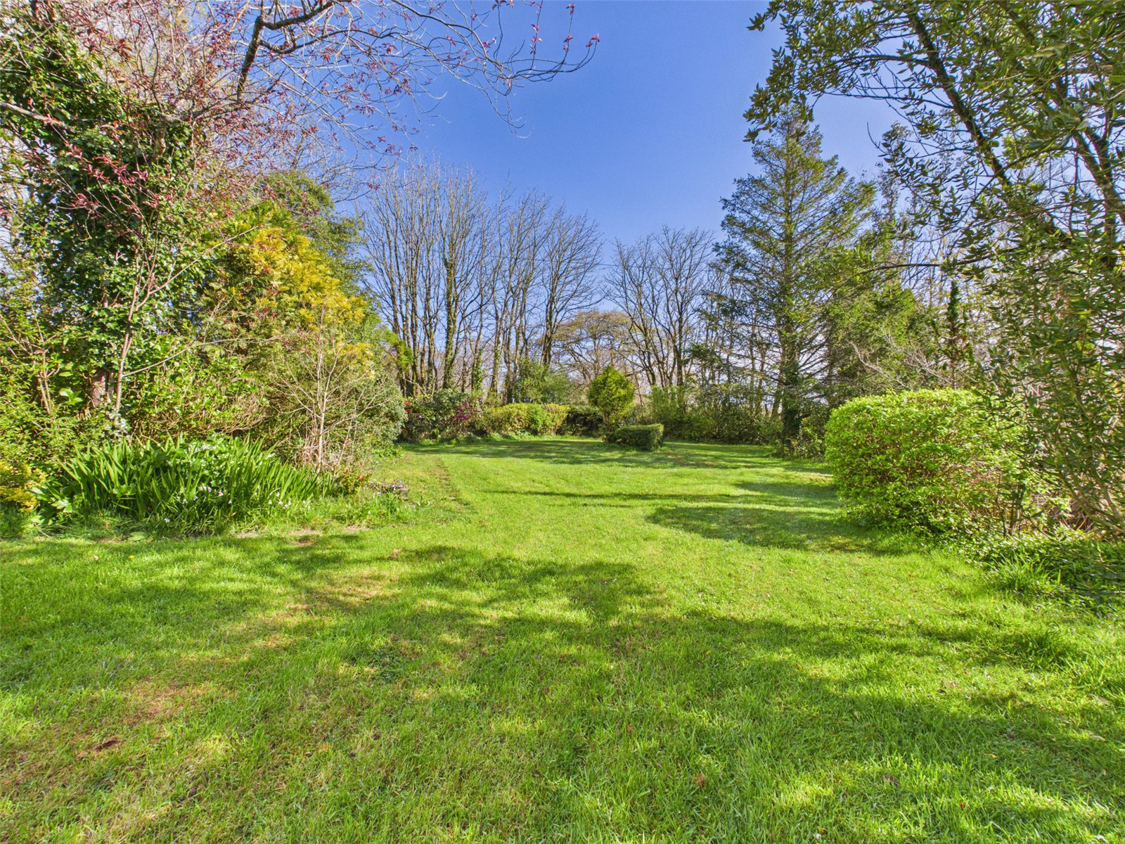 Clubworthy, Launceston, Cornwall, PL15, photo 19
