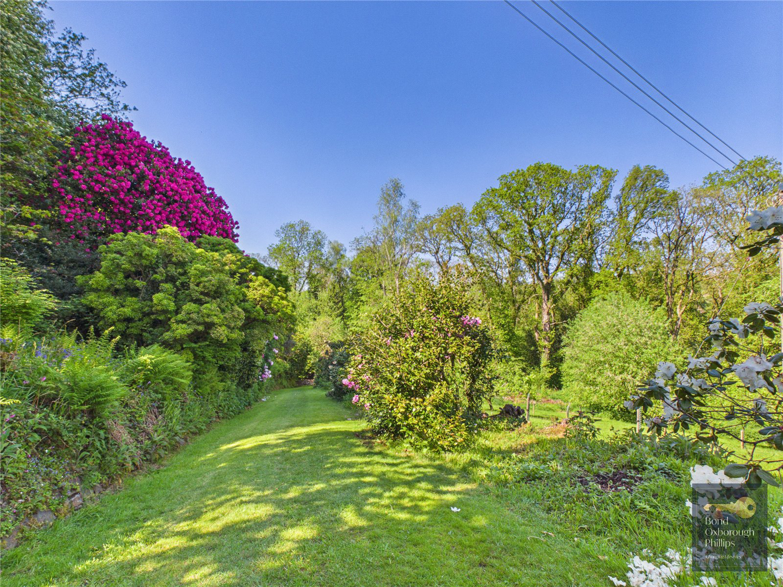 Torrington, Devon, EX38, photo 67
