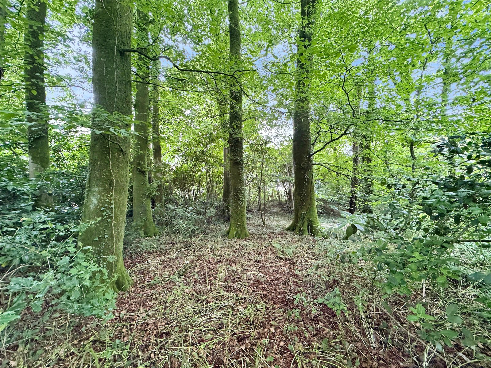Sutcombe, Holsworthy, Devon, EX22, photo 42