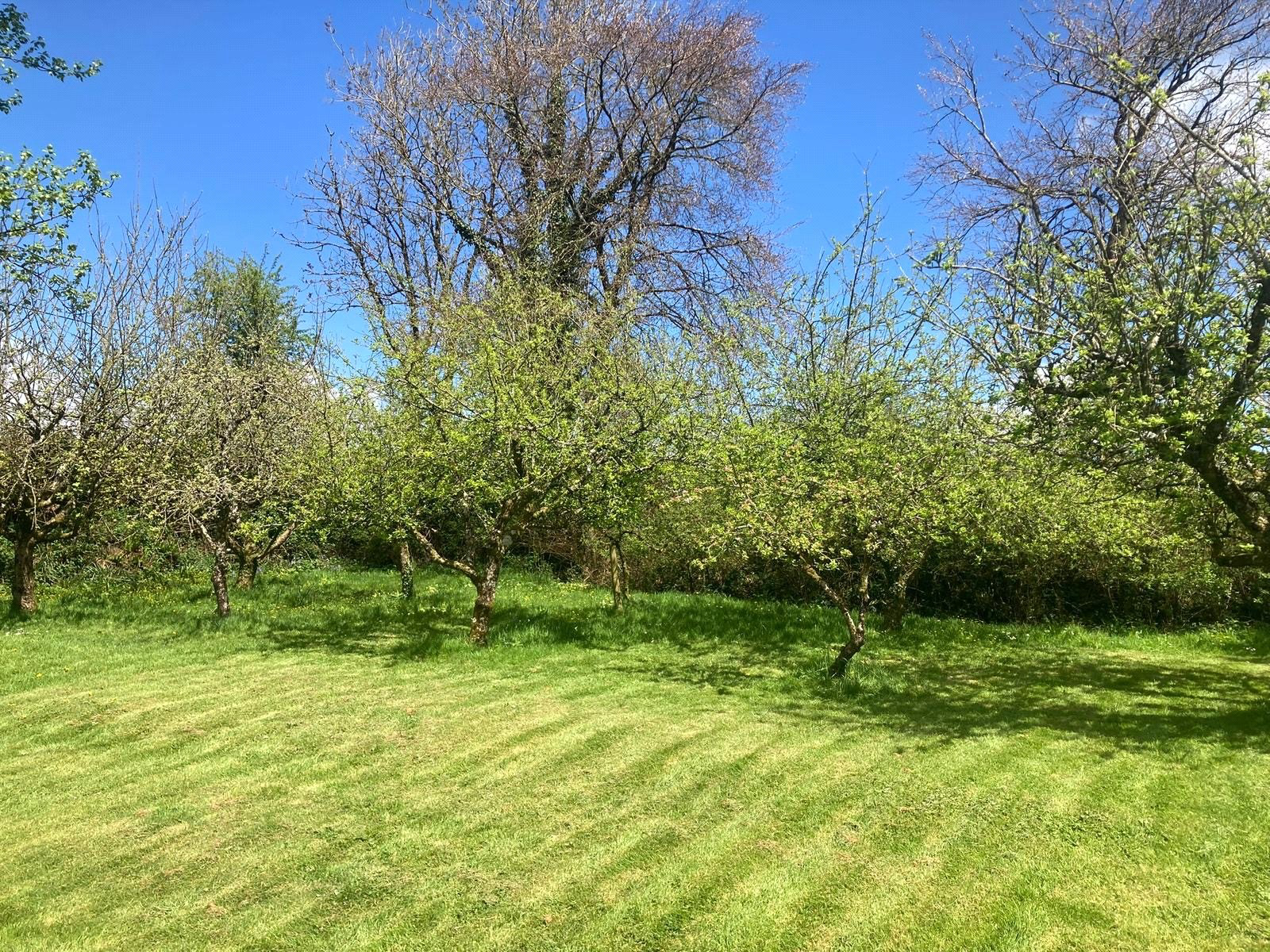 Buckland Filleigh, Beaworthy, Devon, EX21, photo 29
