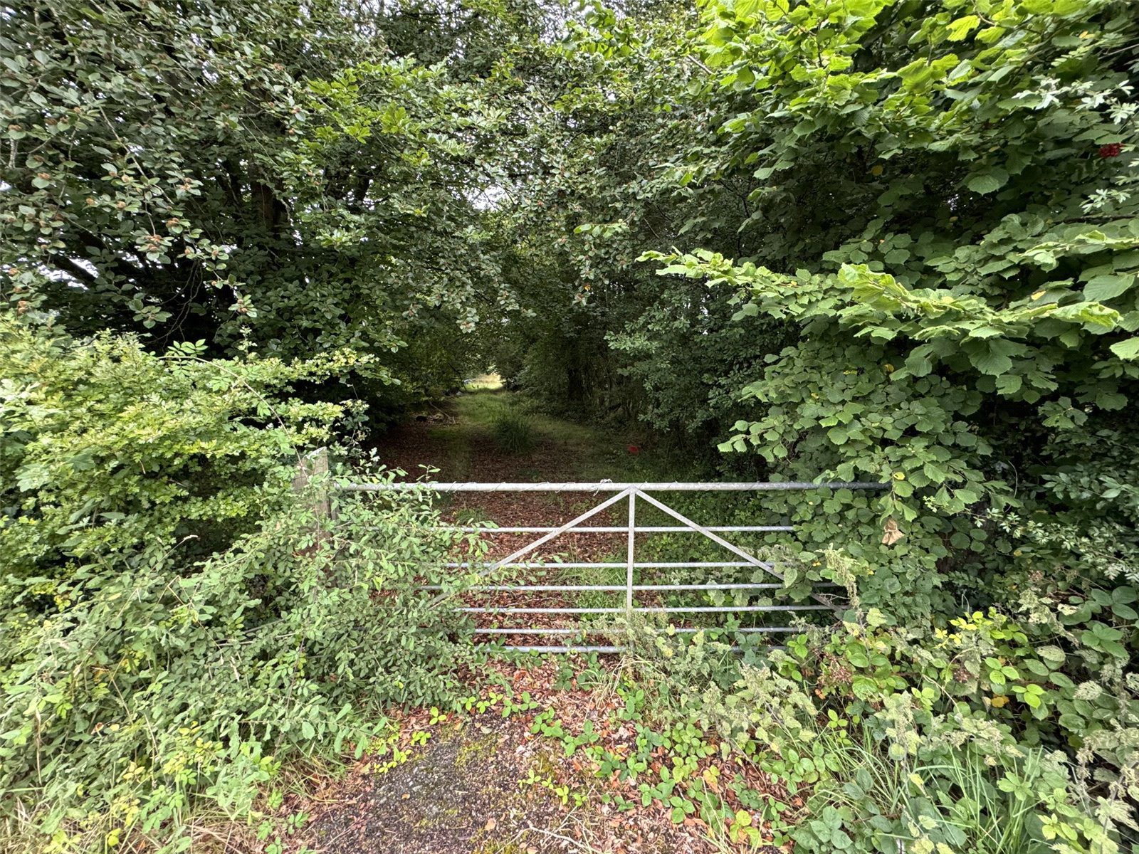 Brandis Corner, Holsworthy, Devon, EX22, photo 2