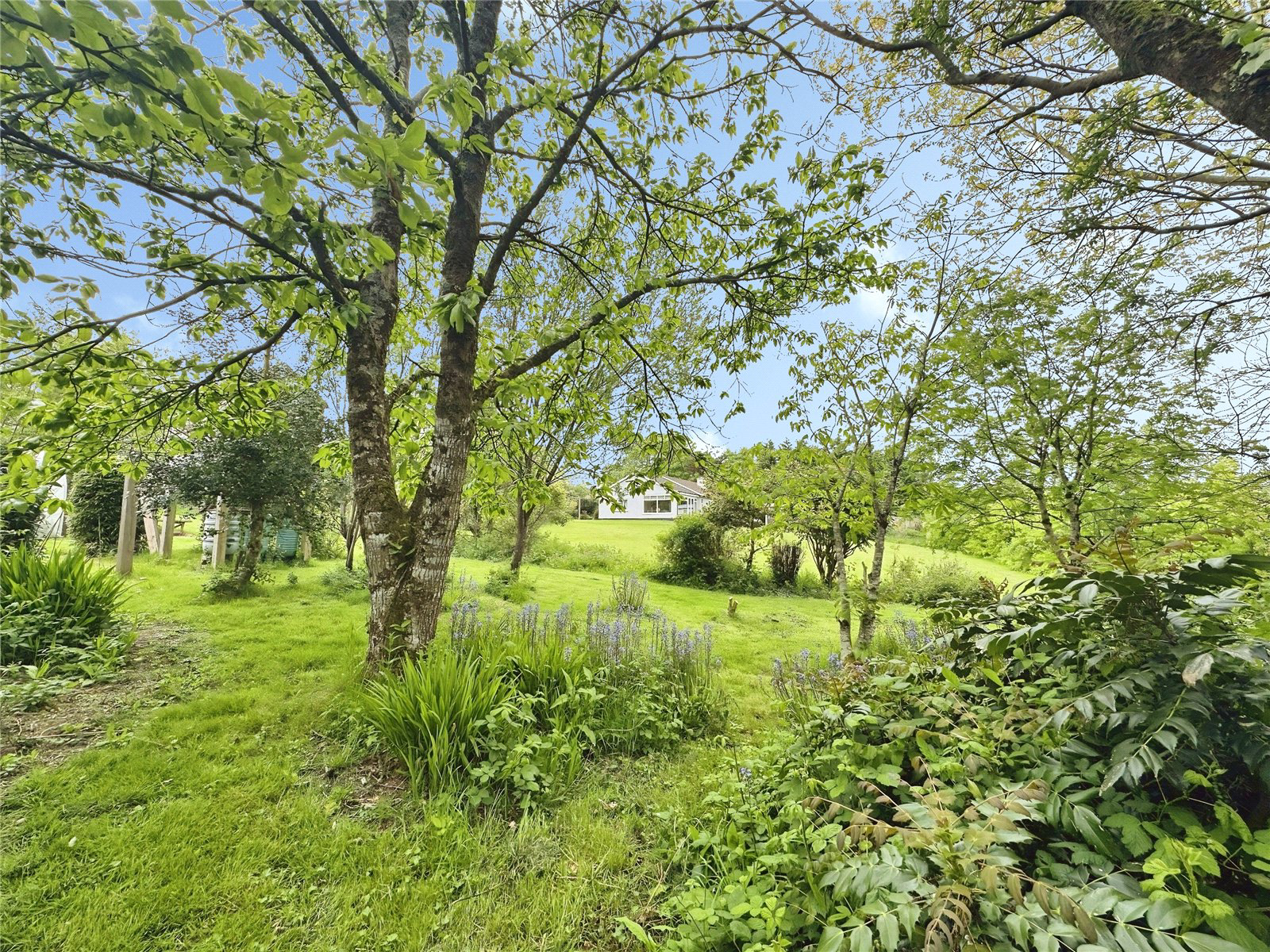 Boyton, Launceston, Cornwall, PL15, photo 27