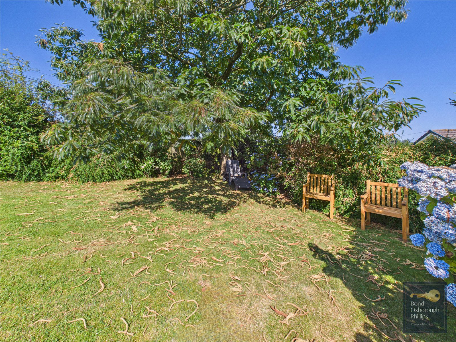 Petrockstowe, Okehampton, Devon, EX20, photo 29