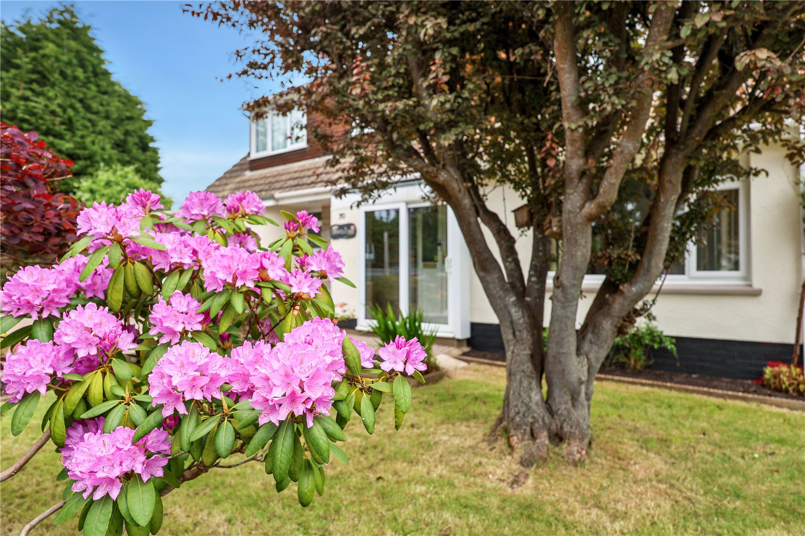 Elmfield Road, Bickington, Barnstaple, Devon, EX31, photo 20