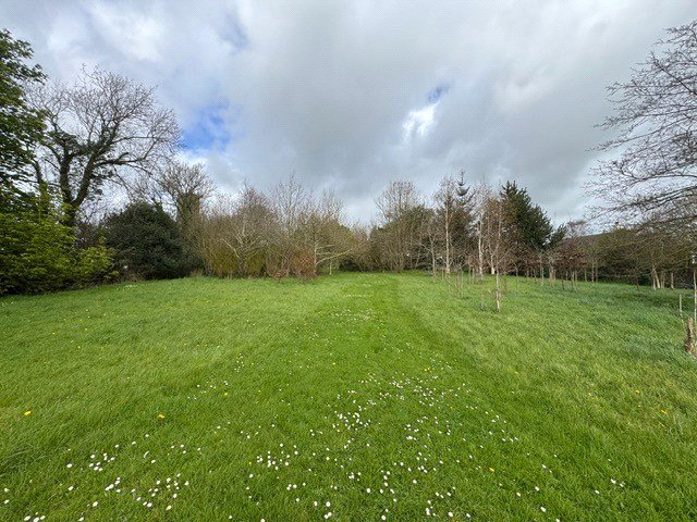 Pyworthy, Holsworthy, EX22, photo 40