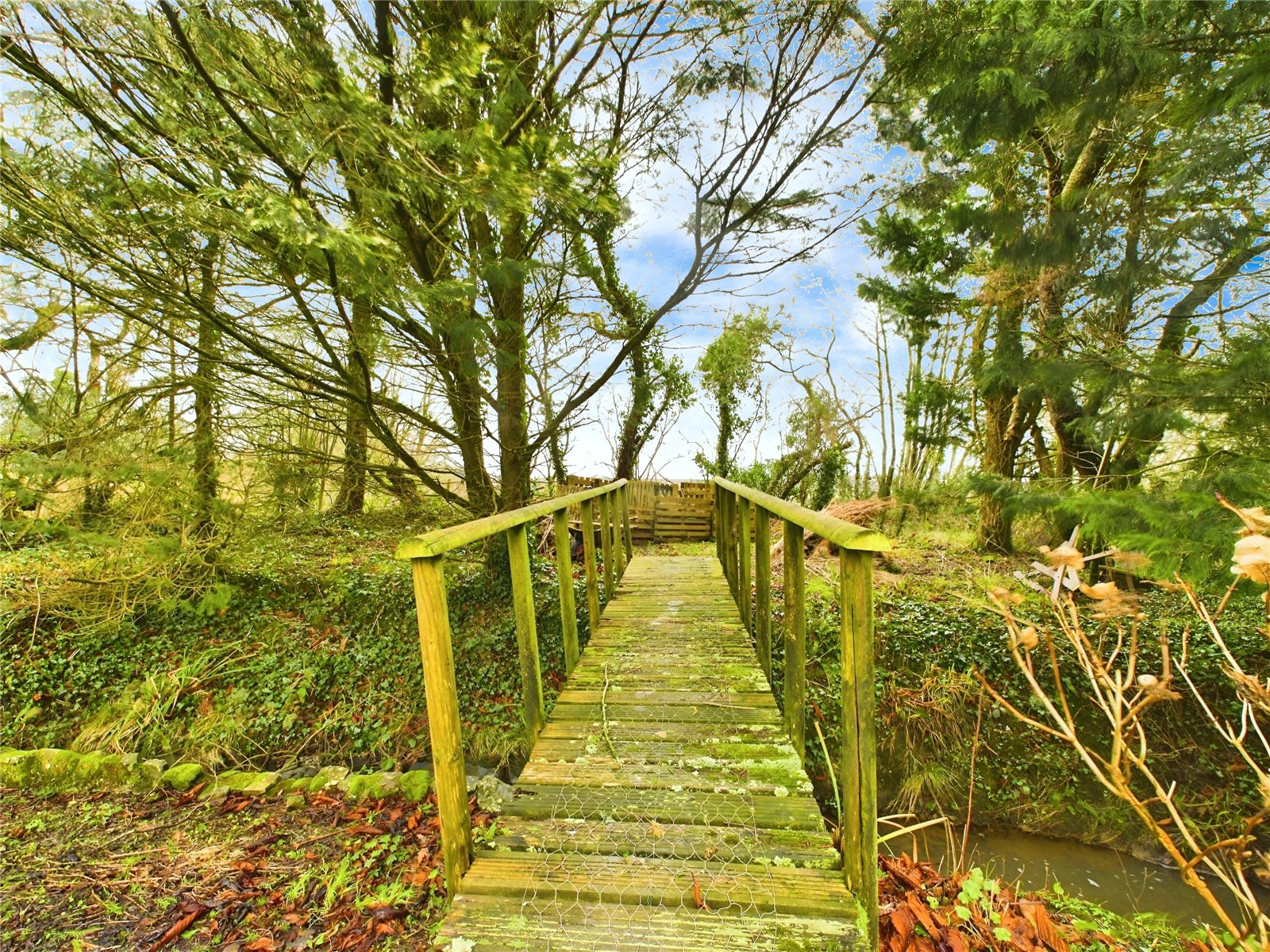 Blagdon, Holsworthy, Devon, EX22, photo 25