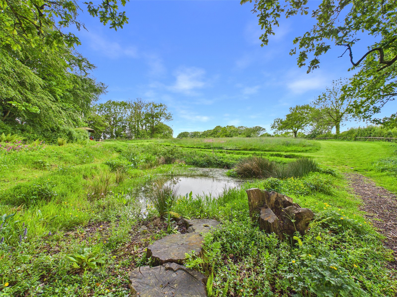 Pyworthy, Holsworthy, Devon, EX22, photo 28