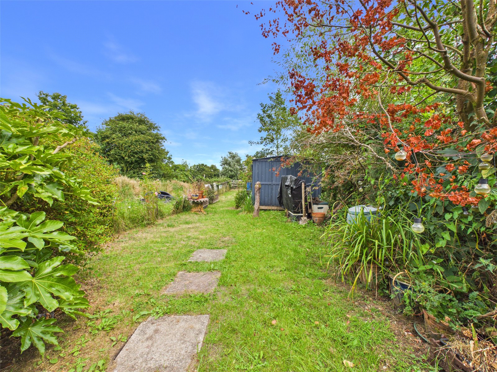 Broad Street, Black Torrington, Beaworthy, Devon, EX21, photo 21
