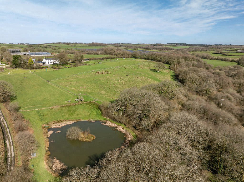 Ashwater, Beaworthy, Devon, EX21, photo 19