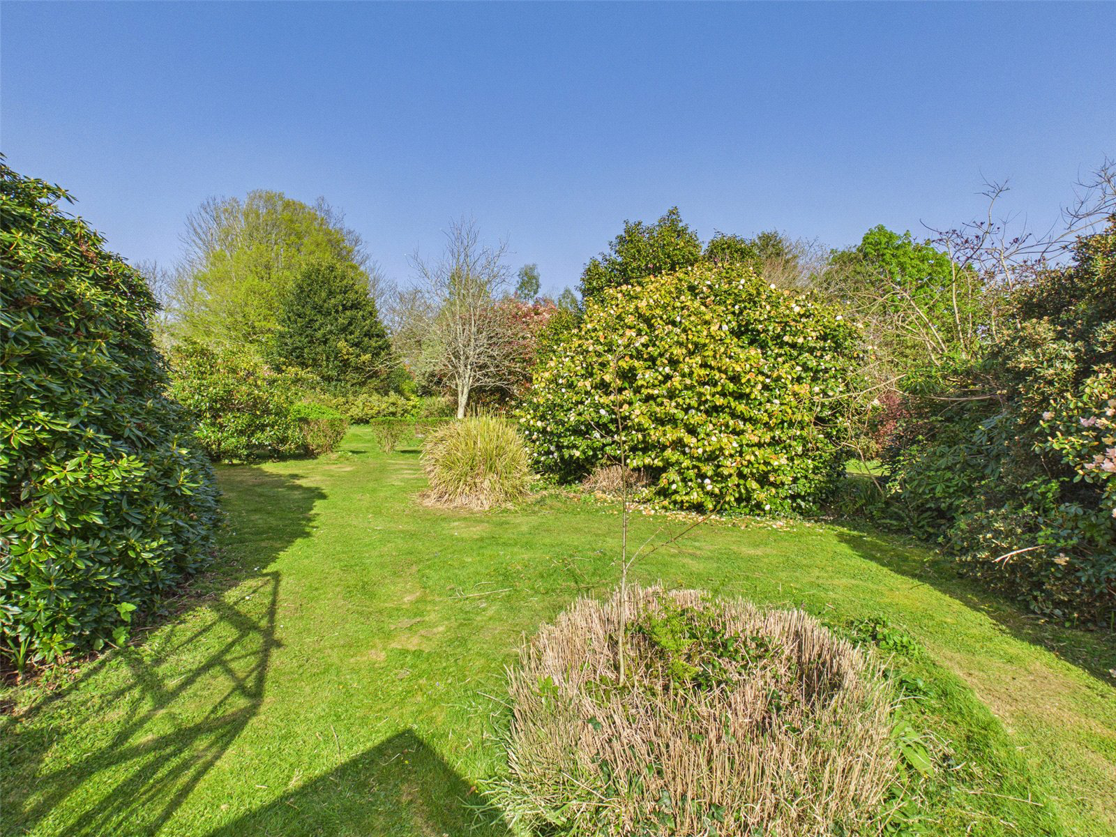 Wetherham Lane, St. Tudy, Bodmin, Cornwall, PL30, photo 15