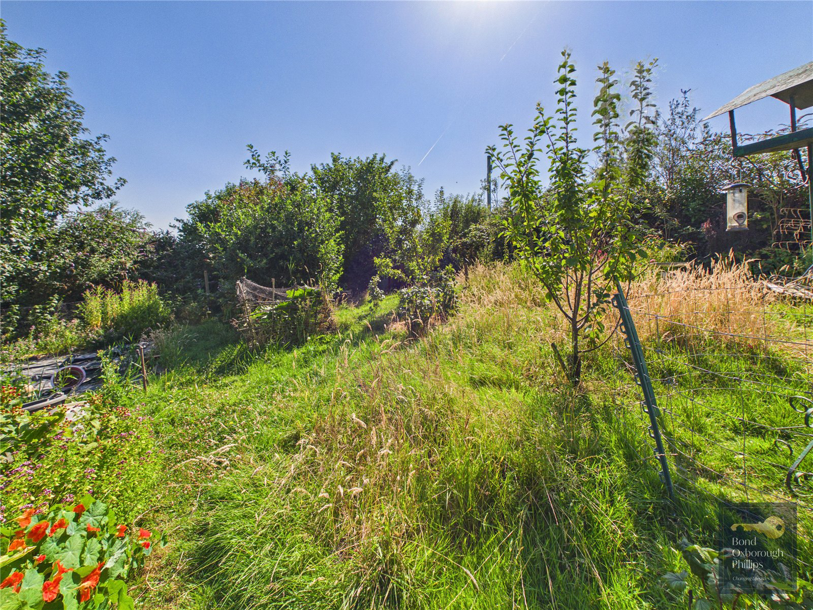 Petrockstowe, Okehampton, Devon, EX20, photo 23